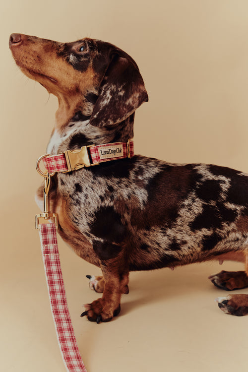 Jam Collar