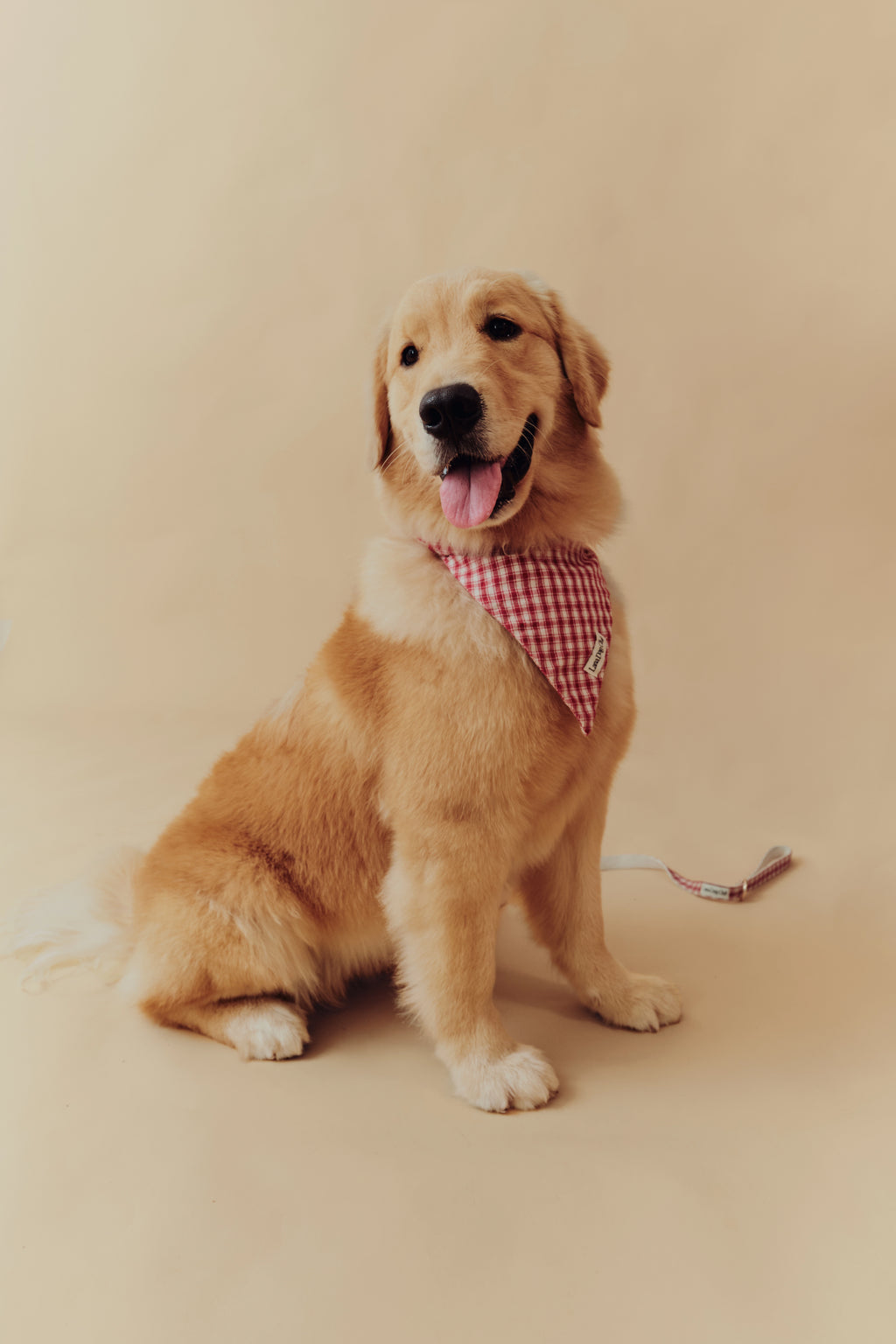 Jam Bandana