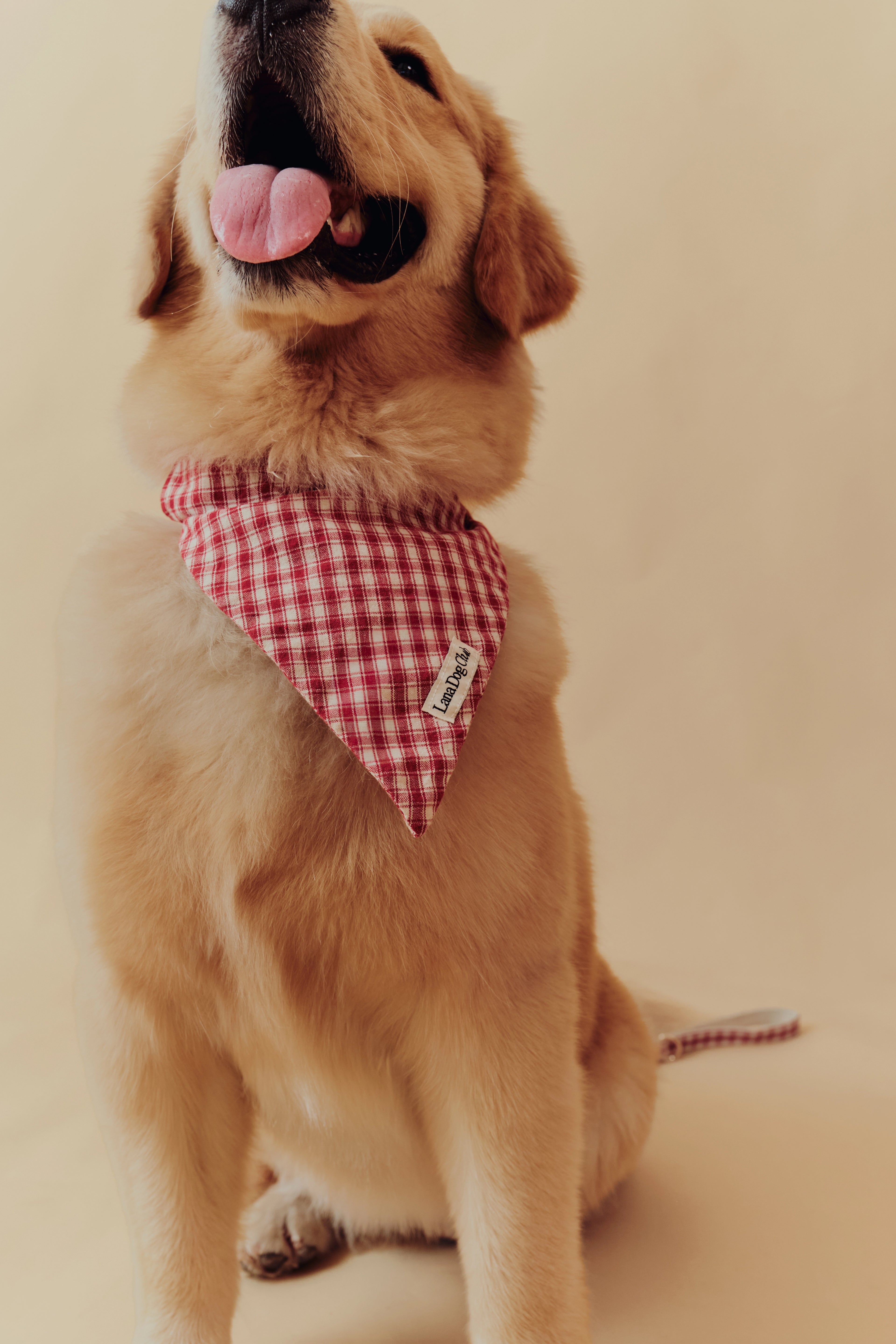 Jam Bandana