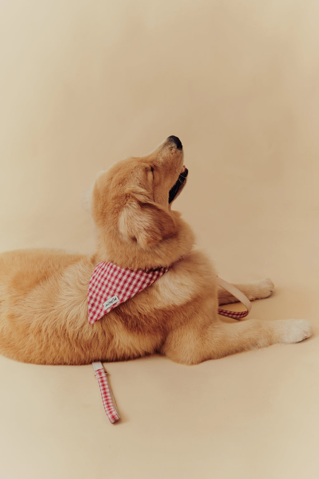 Jam Leash