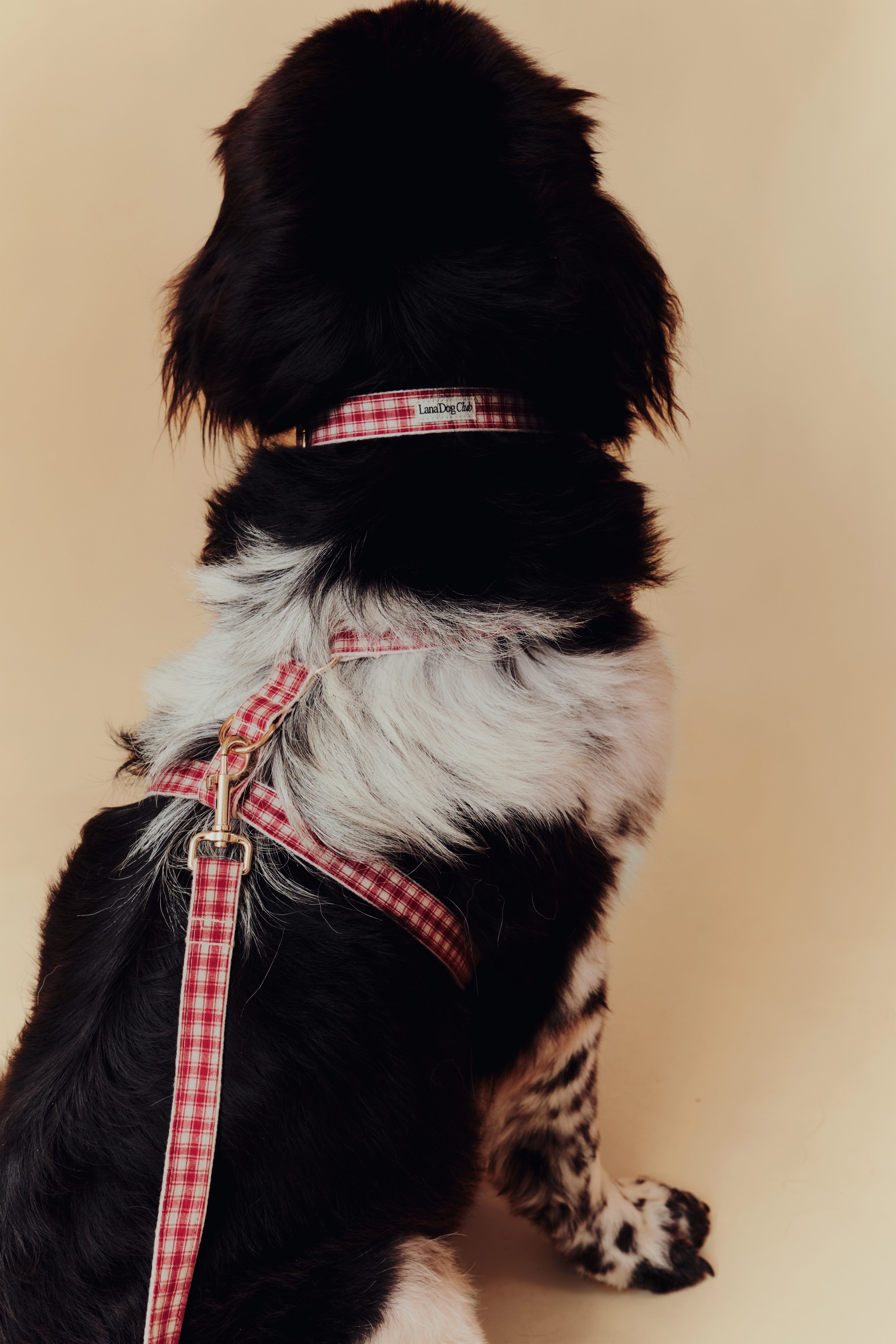 Jam Collar