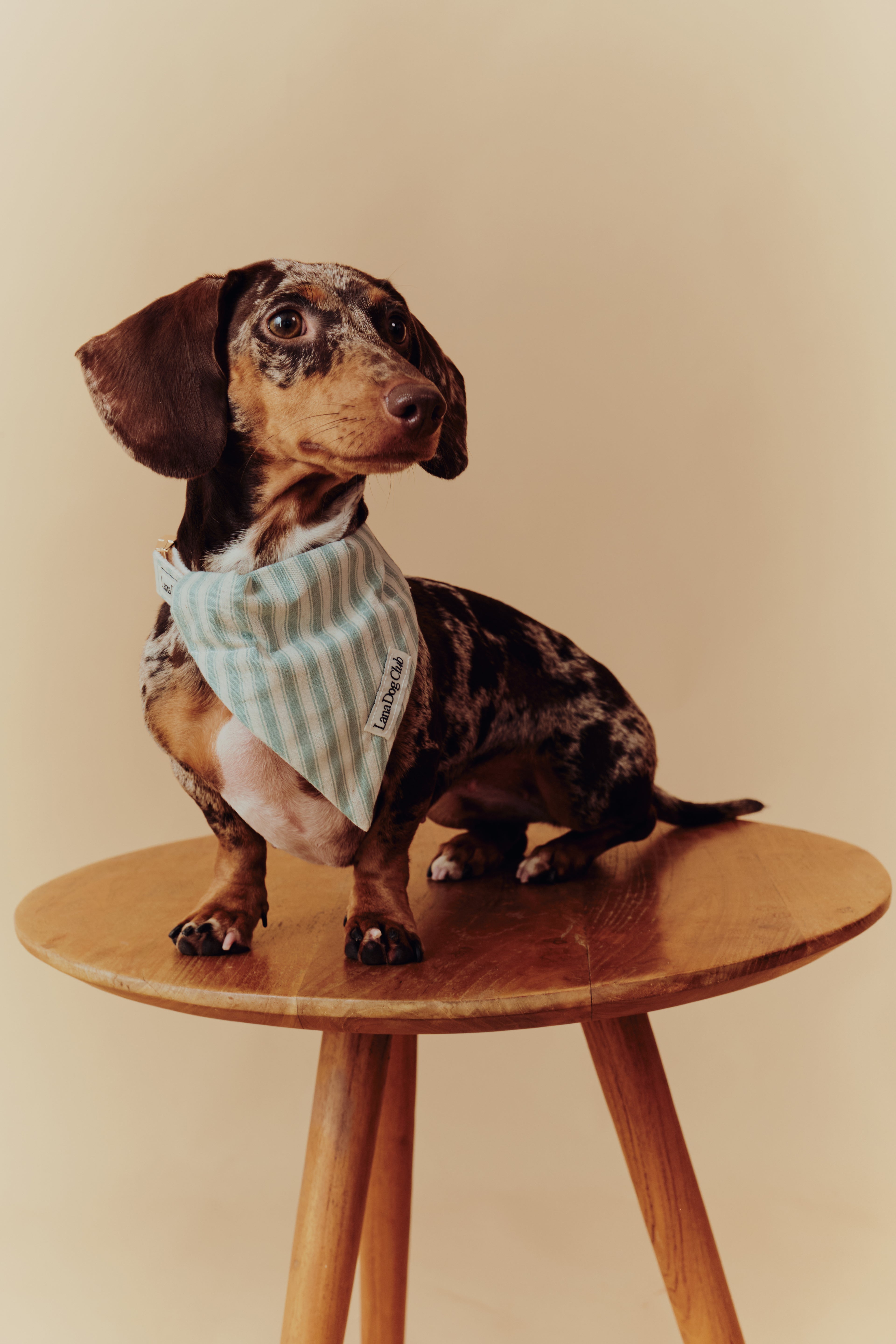 Sage Bandana