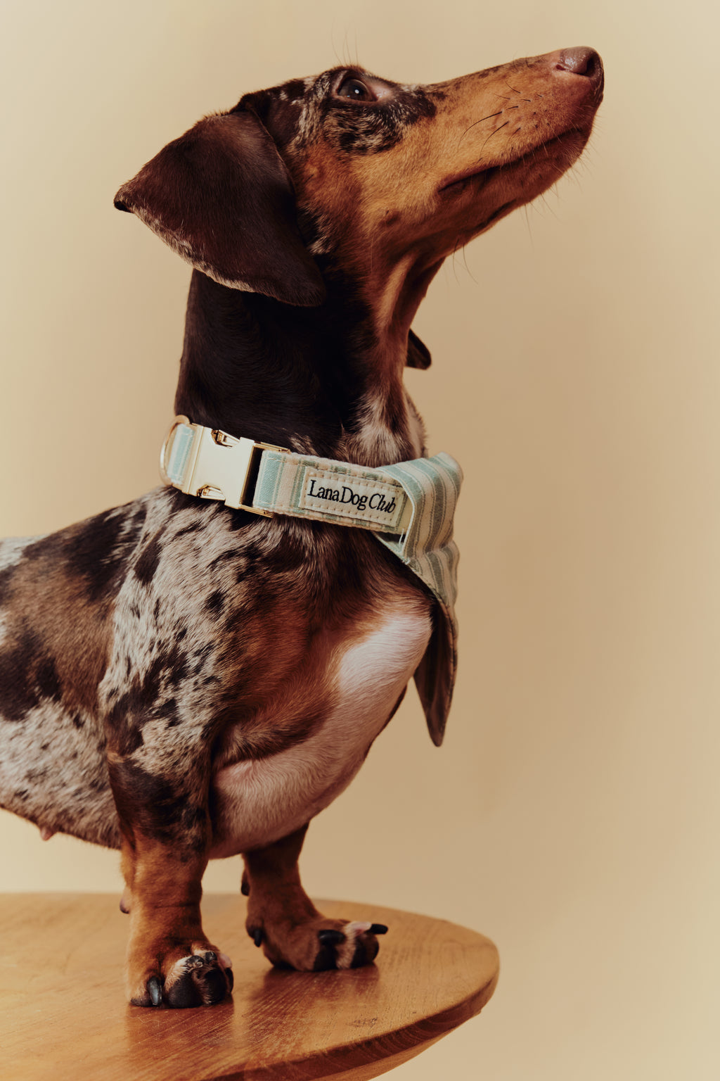 Sage Collar
