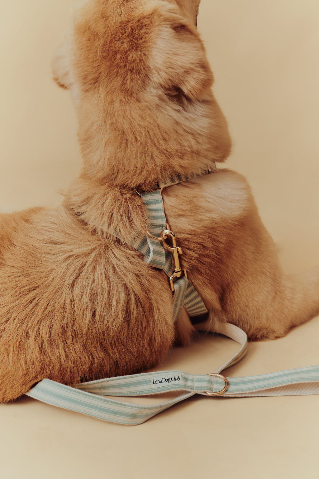 Sage Harness