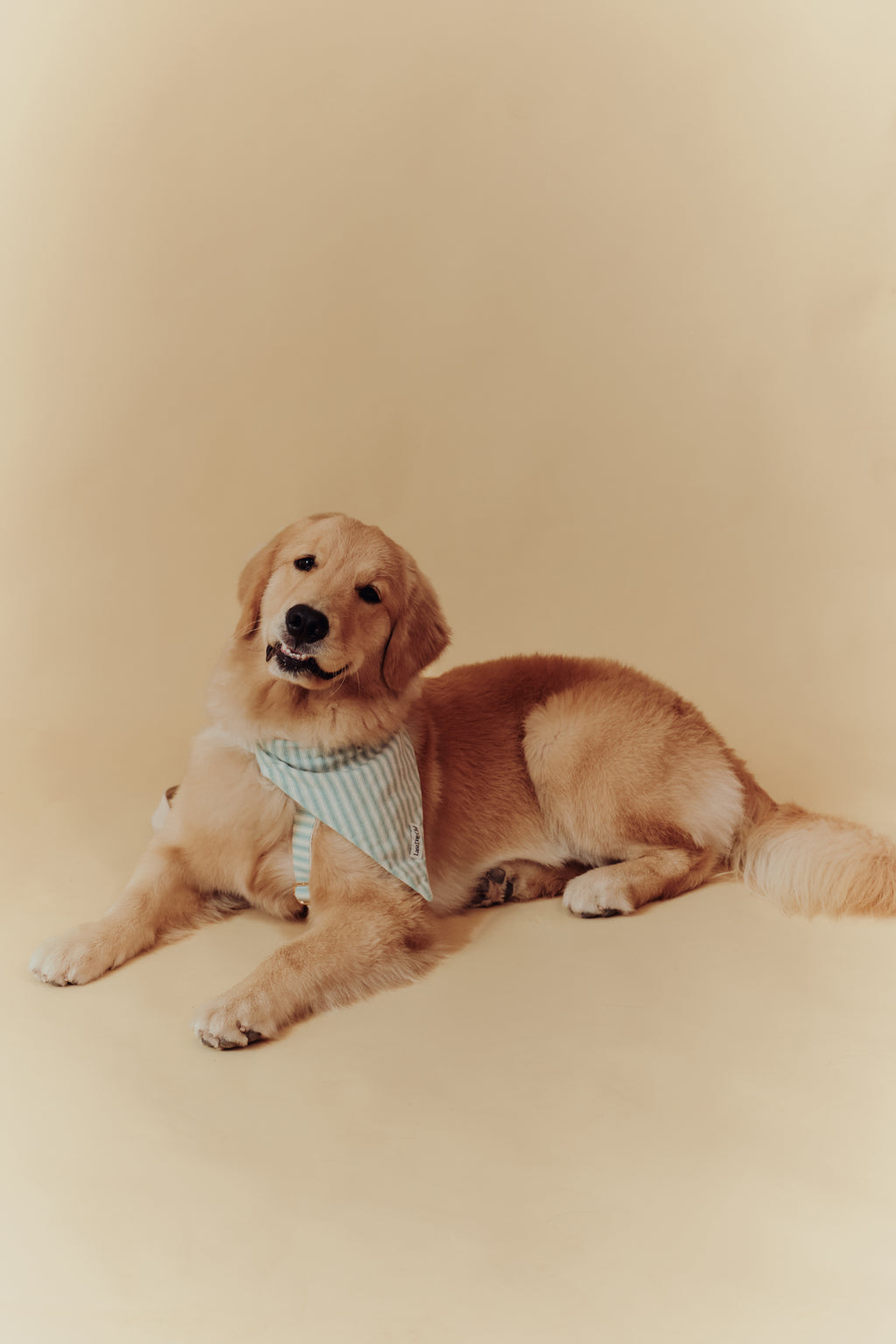 Sage Bandana
