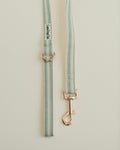 Sage Leash
