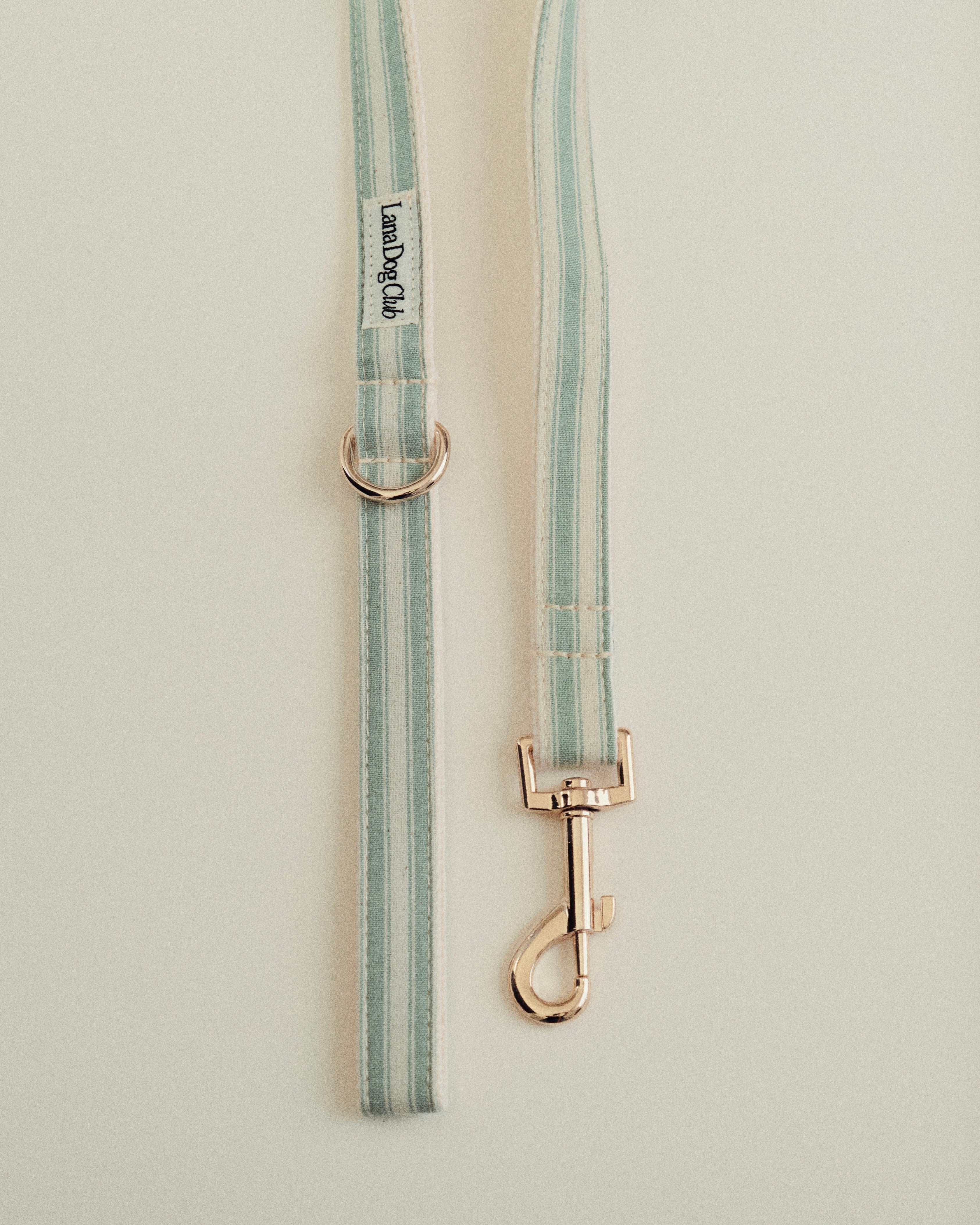 Sage Leash