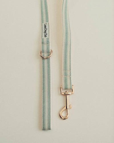 Sage Leash