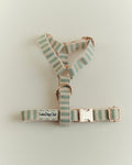 Sage Harness