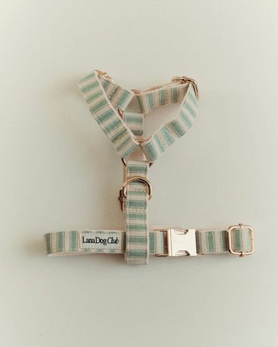 Sage Harness