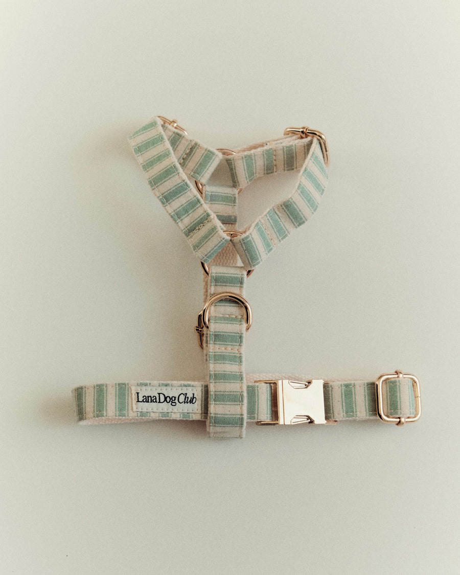 Sage Harness