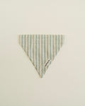 Sage Bandana