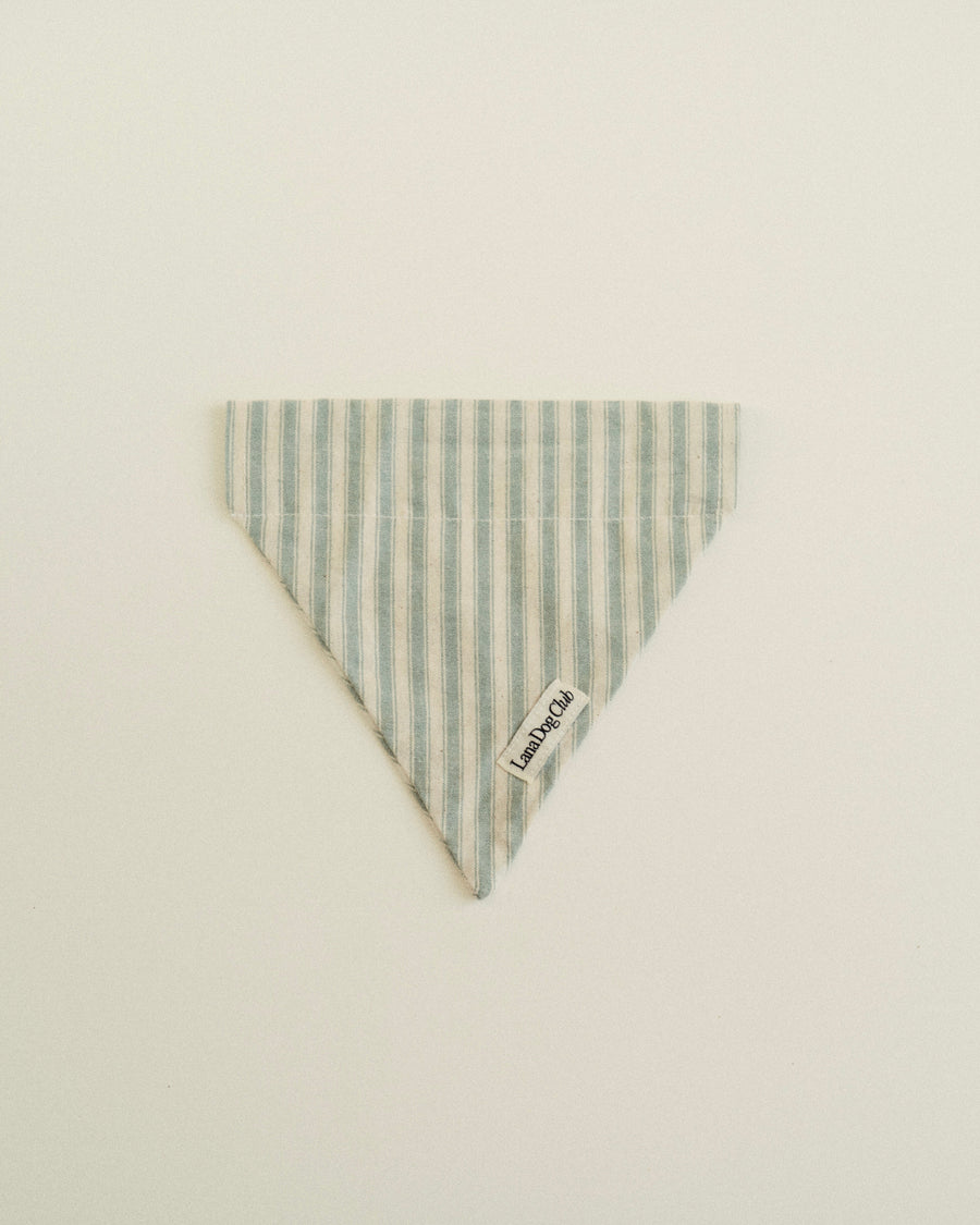 Sage Bandana