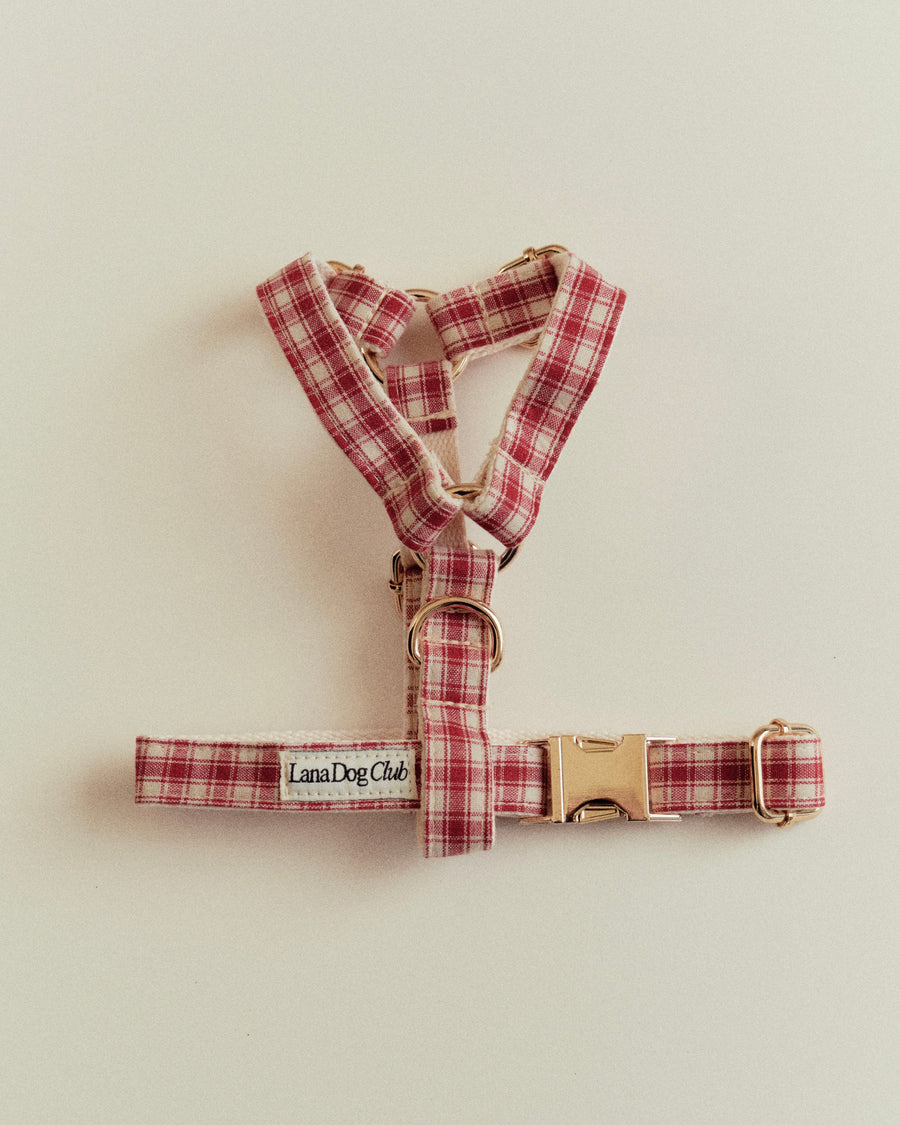 Jam Harness