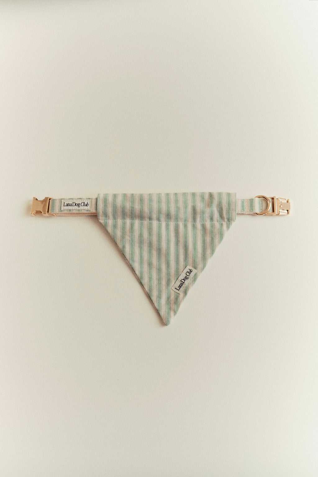 Sage Bandana