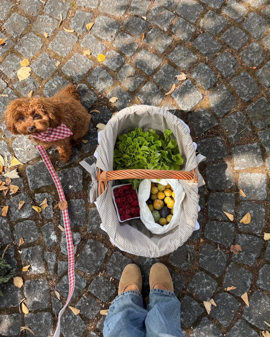 @vanessaalaura · Lana Dog Club customer photo